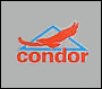 Condor_4c606d9211489.jpg